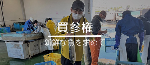 三浦長井漁港　買参権